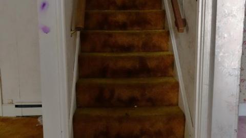 Jan 2020 - DSC01033rnZ.jpg