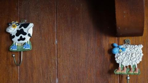 Jan 2020 - DSC010586M4.jpg