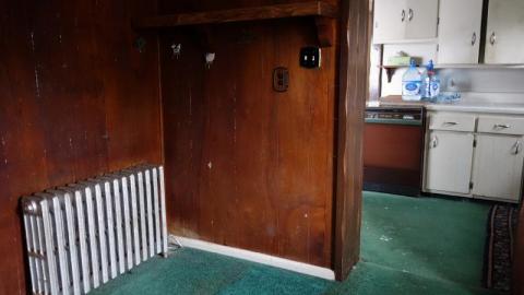 Jan 2020 - DSC01060E2i.jpg