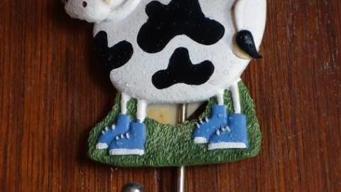 Jan 2020 - DSC01061kPn.jpg