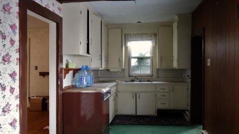 Jan 2020 - DSC0106755b.jpg