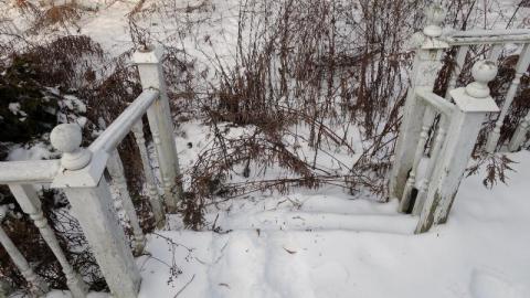 Jan 2020 - DSC01078EFa.jpg