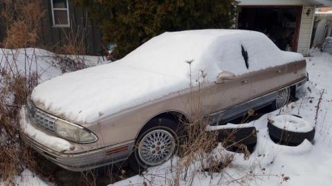 Jan 2020 - DSC010975Vz.jpg