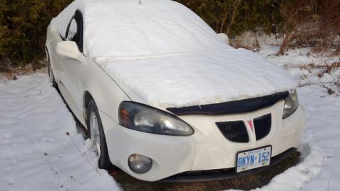 Jan 2020 - DSC01100lM6.jpg