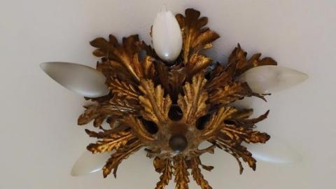 RIP 1962-2020 - DSC00699ZgF.jpg