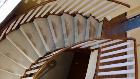 RIP 1962-2020 - DSC00778HP6.jpg