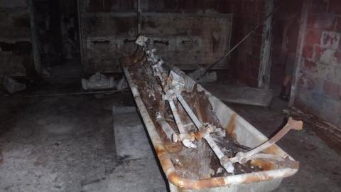 Photo from August 2020