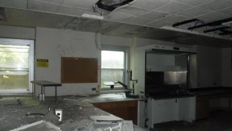 08/09/17 - 2017_1009_16492700Len.jpg