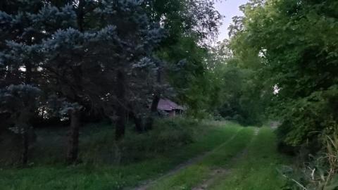 $2 Lot - 20200911_200040X3H.jpg