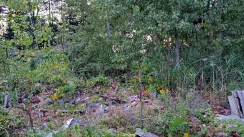 $2 Lot - 20200911_195506IaV.jpg