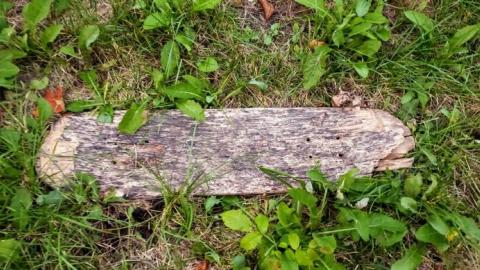 $2 Lot - 20200911_195442Hyu.jpg