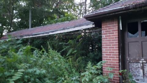 $2 Lot - 20200911_194945wo9.jpg