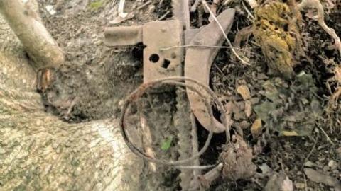 $2 Lot - 20200911_194808v96.jpg