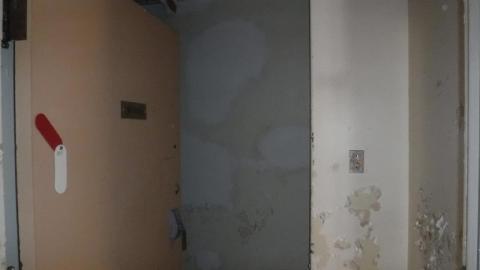 08/09/17 - 2017_1009_16235300Jw2.jpg