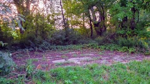 $2 Lot - 20200911_194313ntI.jpg