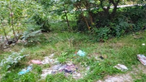 $2 Lot - 20200911_194200pES.jpg