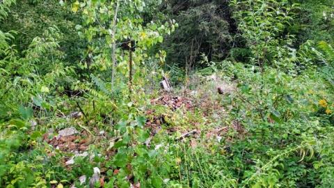 $2 Lot - 20200911_194123oUi.jpg