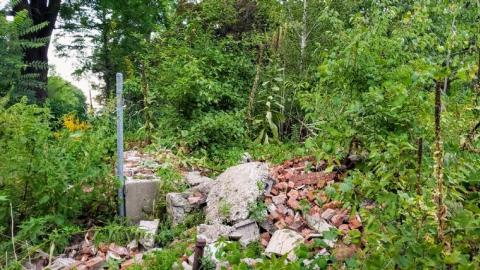 $2 Lot - 20200911_194009gzv.jpg