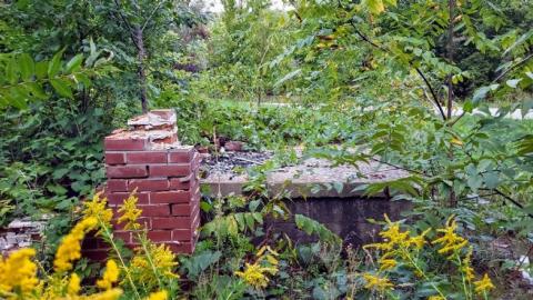 $2 Lot - 20200911_193958gNS.jpg