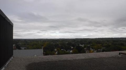 08/09/17 - 2017_1009_170230004yL.jpg