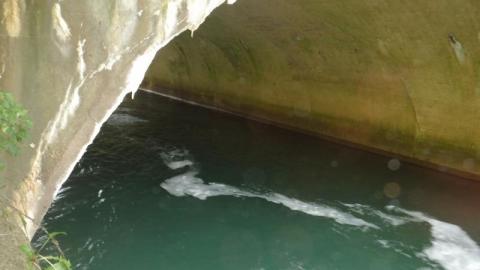 08/08/20 - DSCF5057GEw.jpg