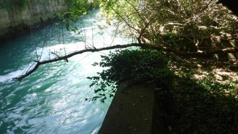 08/08/20 - DSCF50657rI.jpg