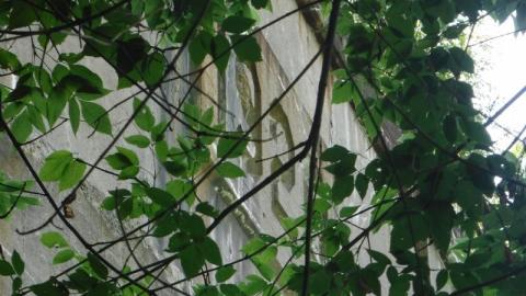 08/08/20 - DSCF5056t8p.jpg