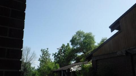 08/07/18 - 2007_0517_14251900nPh.jpg