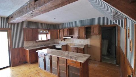 Cold Winter Day - IMG_6729LZu.jpg