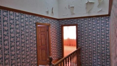 Cold Winter Day - IMG_6708c2e.jpg