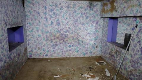 I Need A Boost Dec '19 - DSC03165NLH.jpg