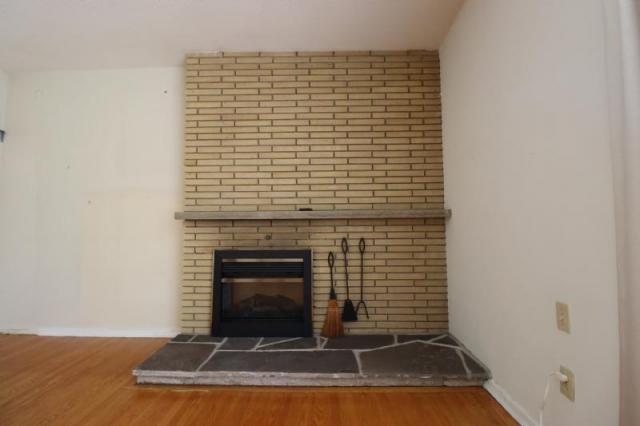 Mid Century Goodness photo 2