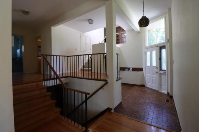 Mid Century Goodness photo 4