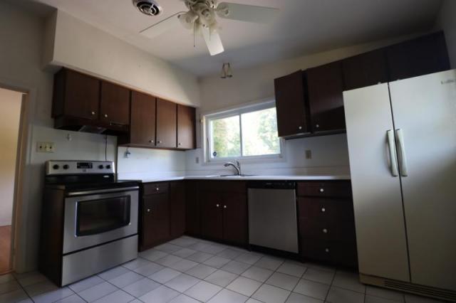 Mid Century Goodness photo 5