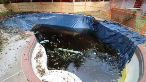 Kinda Boring  - IMG_2407aii.jpg