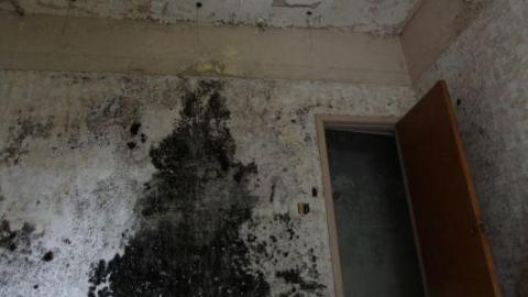 St. Jones (Church On Sunday) - IMG_4937fTQ.jpg