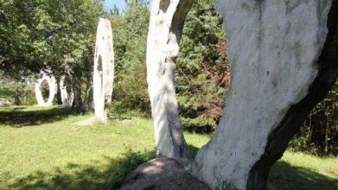 2nd Visit. 10/10 - IMG_4705LJH.jpg