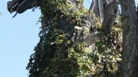 2nd Visit. 10/10 - IMG_4716HqB.jpg