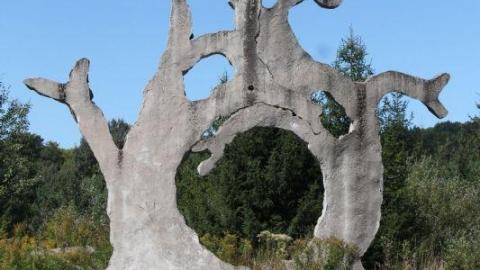 Photo from 2nd Visit. 10/10