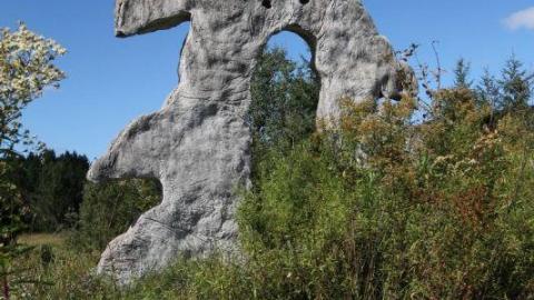 Photo from 2nd Visit. 10/10