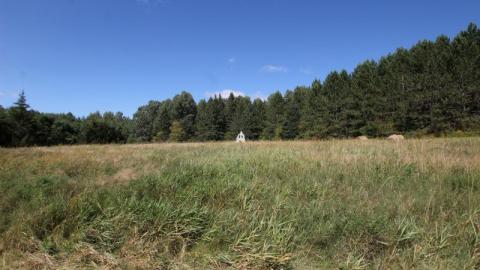 2nd Visit. 10/10 - IMG_472716T.jpg