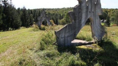 2nd Visit. 10/10 - IMG_4730jue.jpg