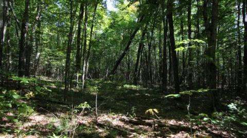 2nd Visit. 10/10 - IMG_4732KmC.jpg