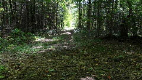 Photo from 2nd Visit. 10/10