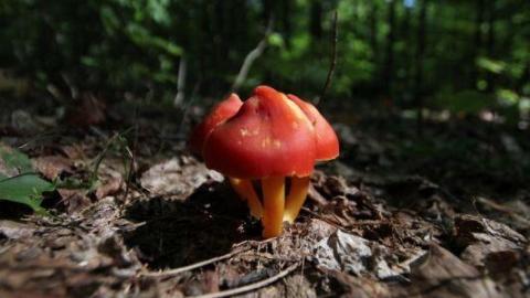 2nd Visit. 10/10 - IMG_4742413.jpg