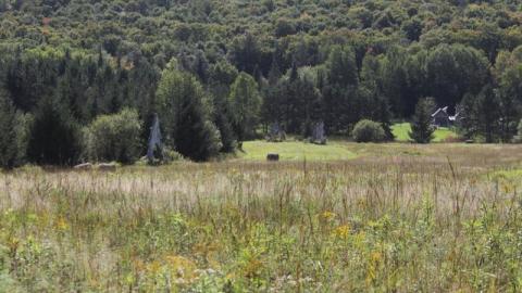 2nd Visit. 10/10 - IMG_4752hzn.jpg