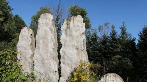 2nd Visit. 10/10 - IMG_4767Dnt.jpg