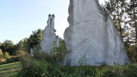 2nd Visit. 10/10 - IMG_47736qK.jpg