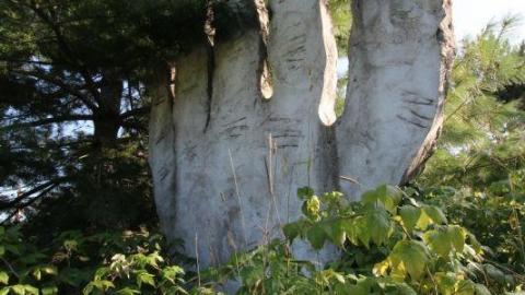 2nd Visit. 10/10 - IMG_4774e67.jpg