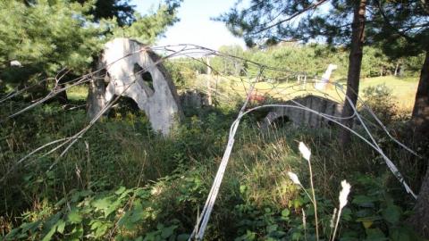 2nd Visit. 10/10 - IMG_4775PJG.jpg